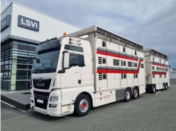 Camion bétaillère MAN TGX 26.500