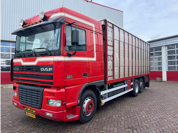 Camion bétaillère DAF XF 95 380